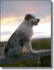 u� slun��ko zach�z�