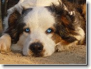 je to prost� Lex�k