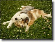 tak jsem si po��dil pol�t��