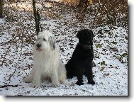 Brixi�ka a Kar�a