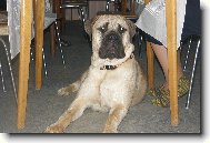 pod stolem u nohou babi�ky