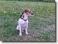 Max�k z �st� nad Labem