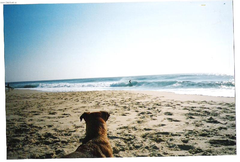 Foto: B�bo vyhl�� p�n��ka-Francie 05