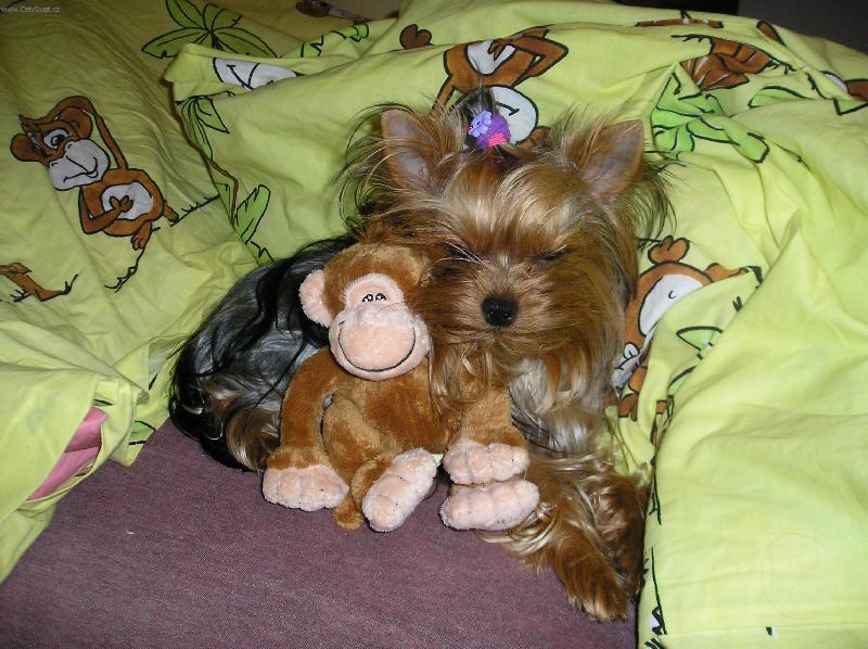 Foto: OT��EK-SLADK� SNY