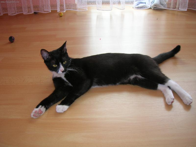 Foto: Na prednich mam ponozky a na zadnich podkolenky :-)-Phoebe