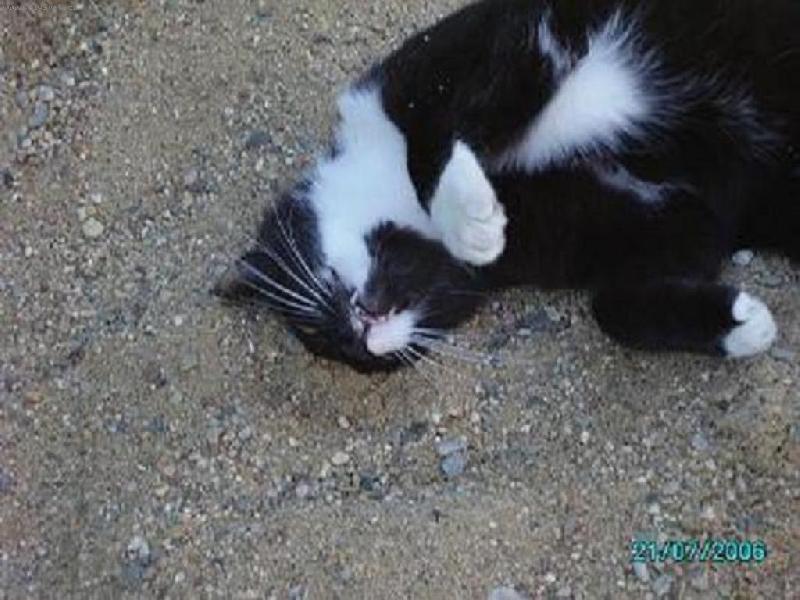 Foto: �etr��ek-No jo no ta hlavi�ka