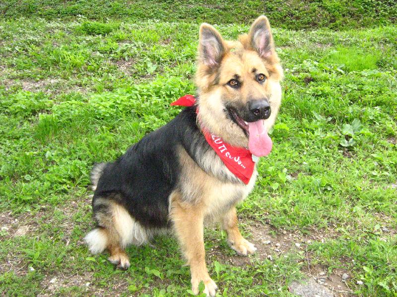 Foto: mal� skaut�k-to je zrovna po skautsk� p��saze