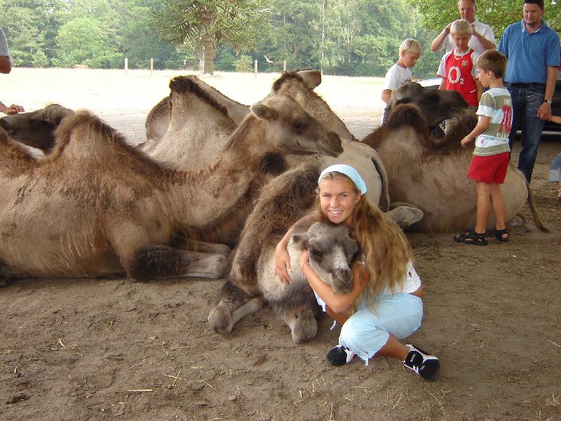 Foto: Terezka a velbloudek-Na Safari v D�nsku,jsem si obl�bila velbloud� miminko a takhle jsme se mazlili...