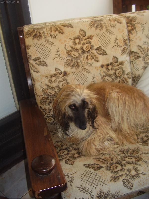 Foto: �blunk-nen�vidim koup�n�.vrrr