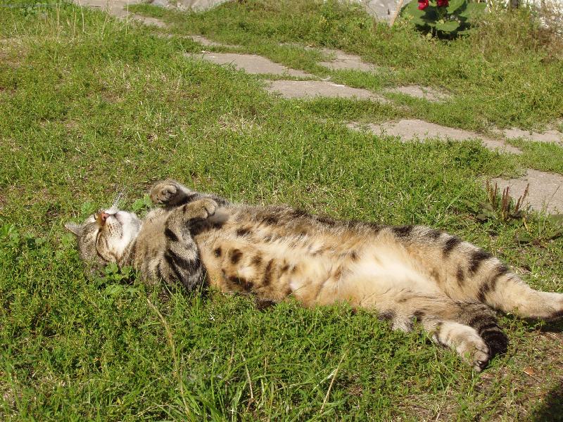 Foto: Odpo�inek po o�ist�-Sta�enka (v p�epo�tu 100 let�)