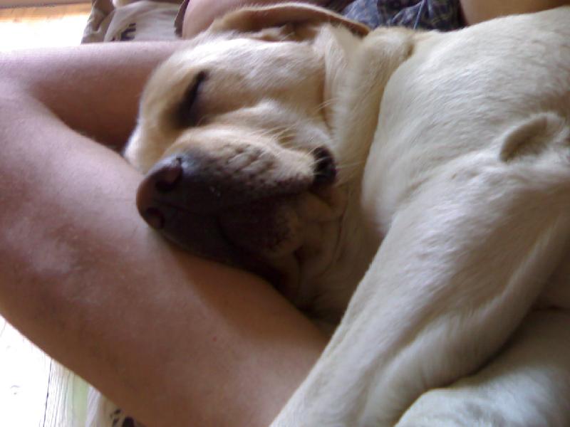 Foto: Sladk� sny!-To je ale pol�t��ek!