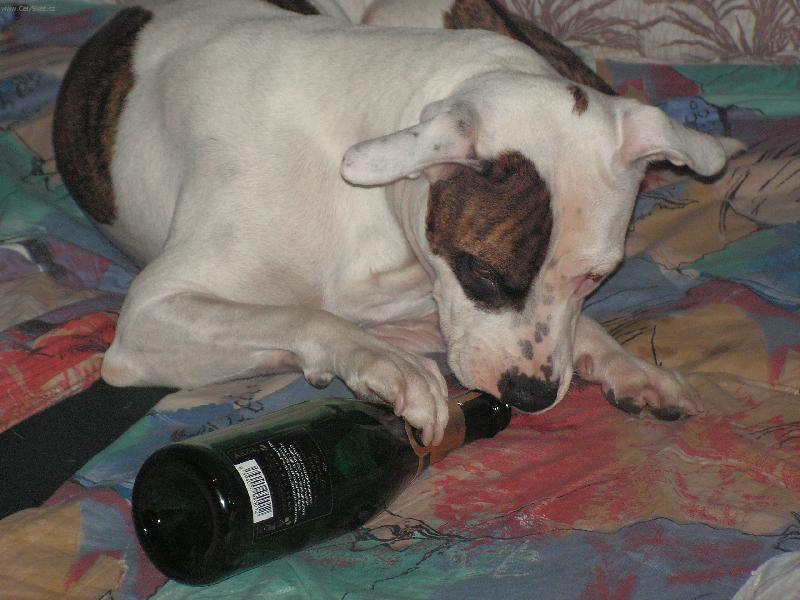Foto: Silvestr