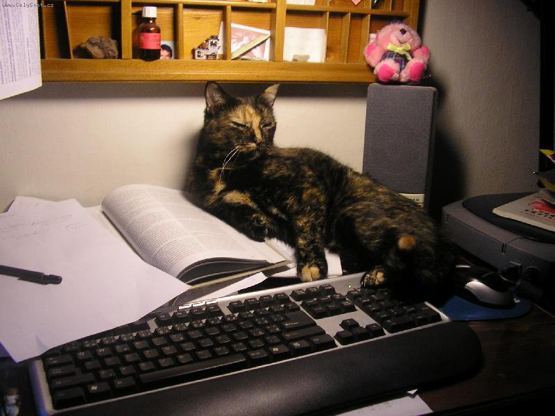 Foto: Pan� Norisov�