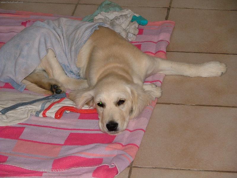 Foto: ARONEK:-))-VE 4 M�S�C�CH