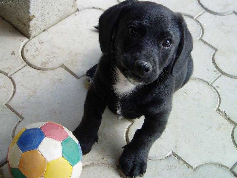 Foto: Bro�ek-poj�te si se mnou hr�t!