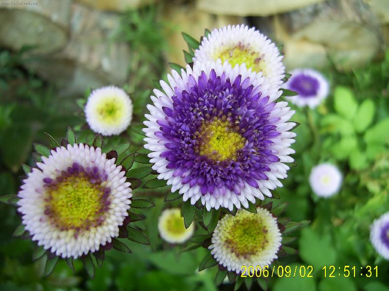 Foto: souhv�zd� ASTRA