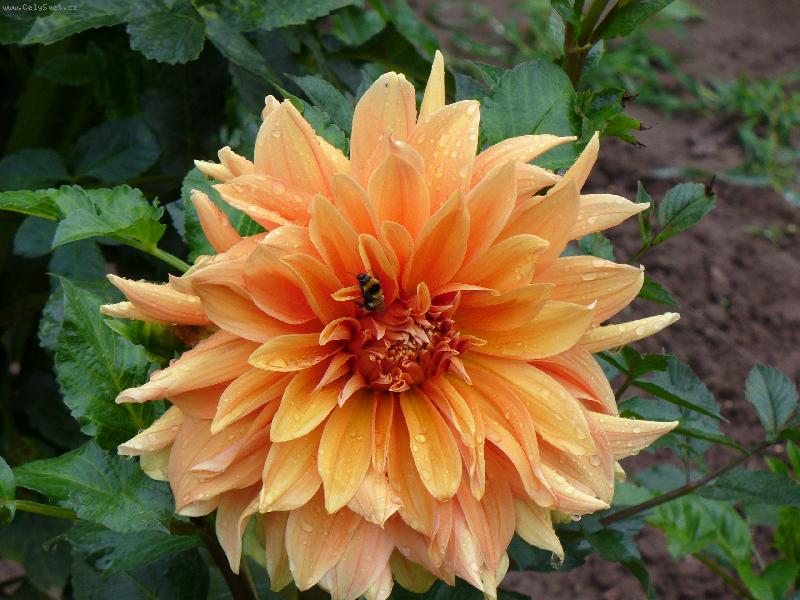 Foto: Kouzlo p��rody