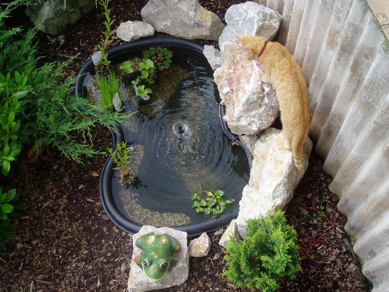 Foto: ty rybi�ky stejn� vylov�m