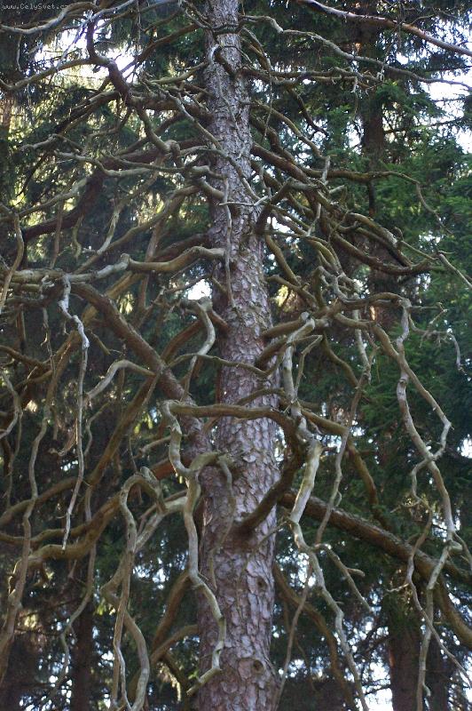 Foto: t�k� �ivot