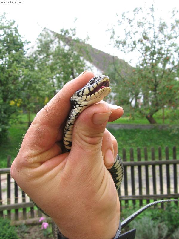 Foto: To je �lovek