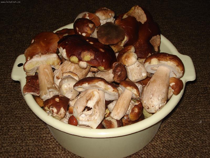 Foto: Bude sma�enice