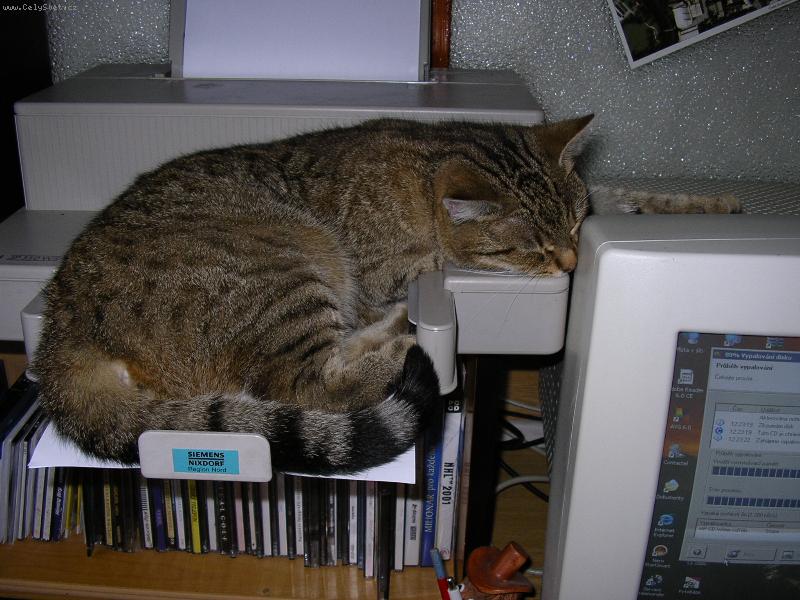 Foto: Ne! Te� se tisknout nebude!-"Budu sp�t tam kde je mi dob�e!"