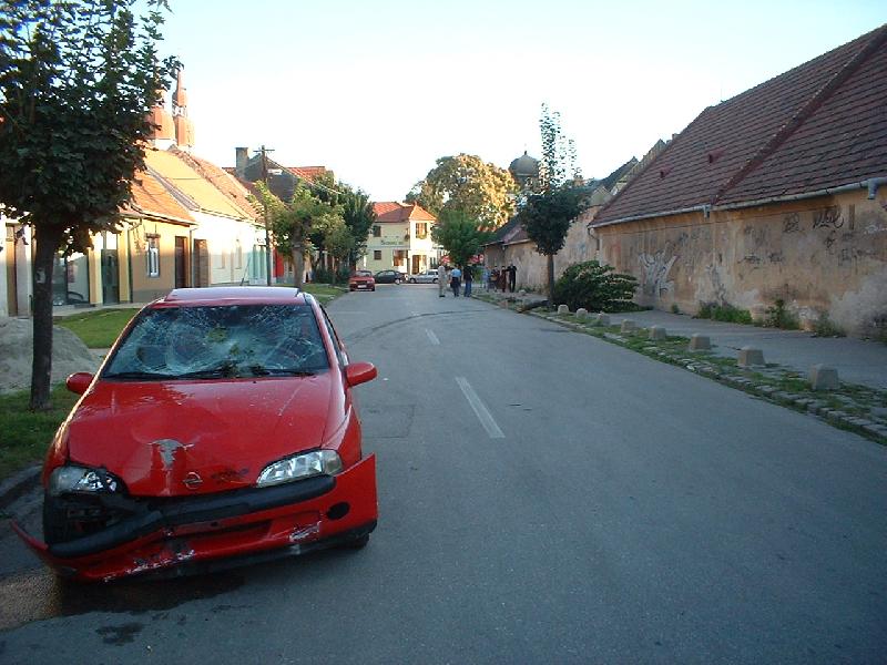 Foto: smola-chud�k strom