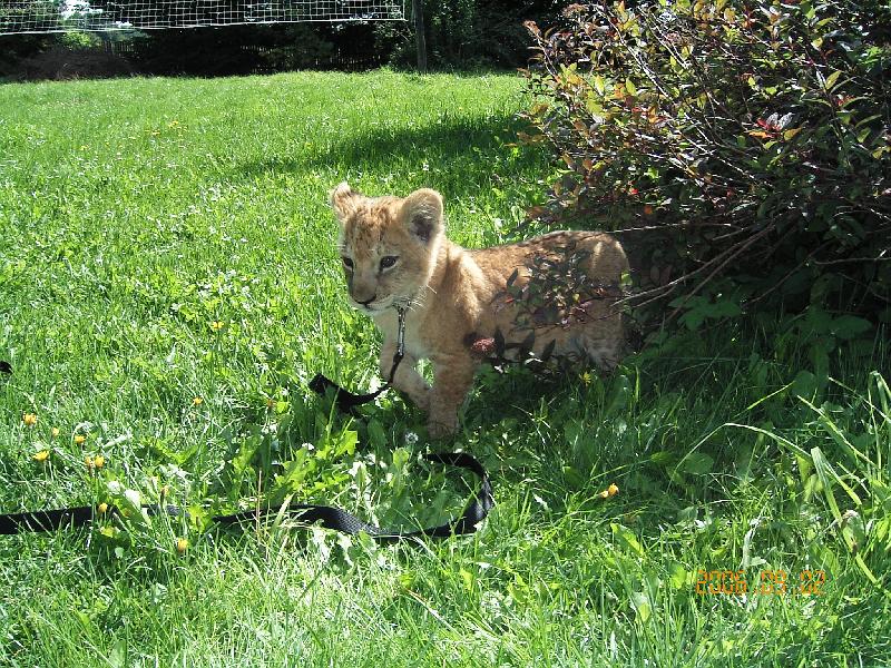 Foto: Beru�ka-Na ��han�