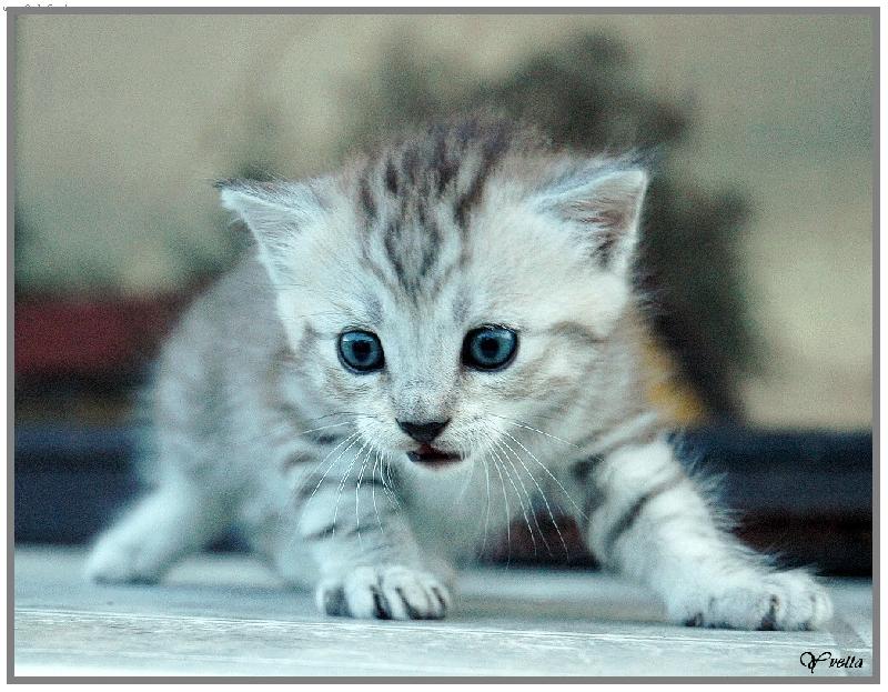 Foto: Miminko