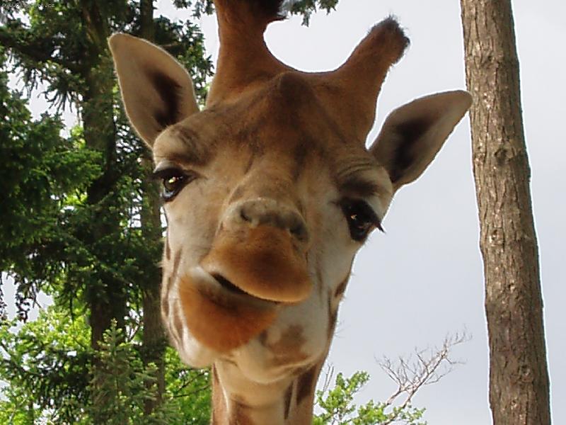 Foto: �irafka :o)-Tak ta je fakt dobr�