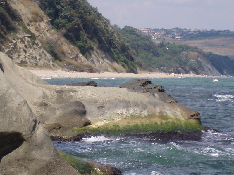 Foto: kamenn� ryba