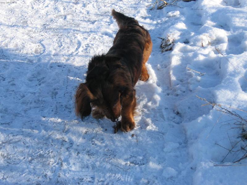 Foto: Ben�sek-Hej!Ono se to hnulo!Ale fakt!