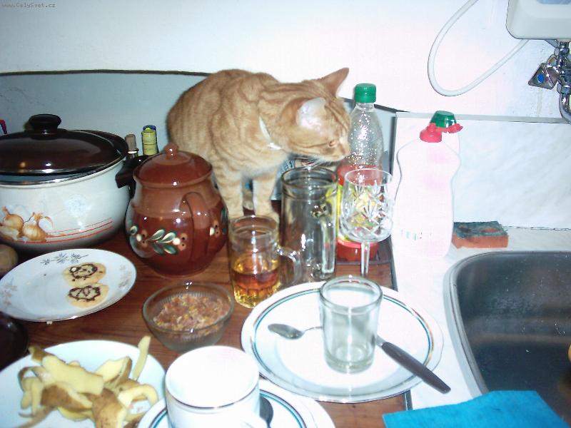 Foto: Mike�ek-A� SE D�V�M JAK SE D�V�M NIKDE TU NIC K SN�DKU NEN�