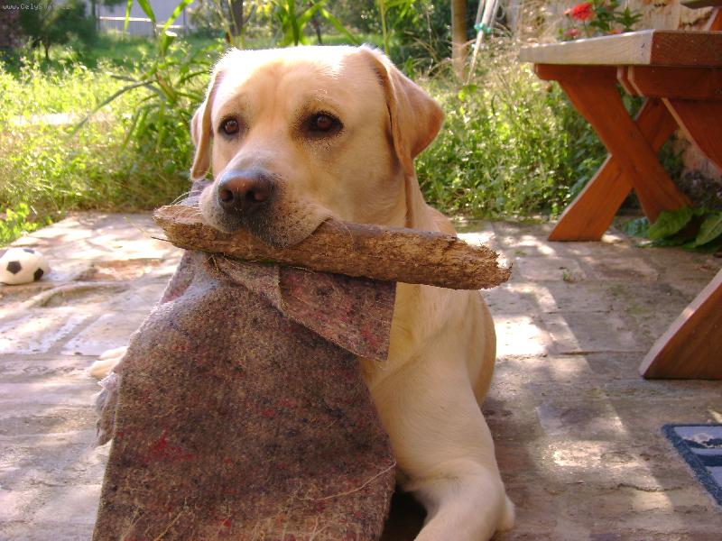 Foto: Po� si hr�t