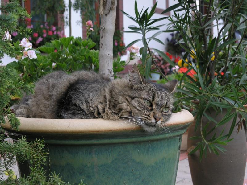 Foto: Takhle j� si �iju-Cecilka