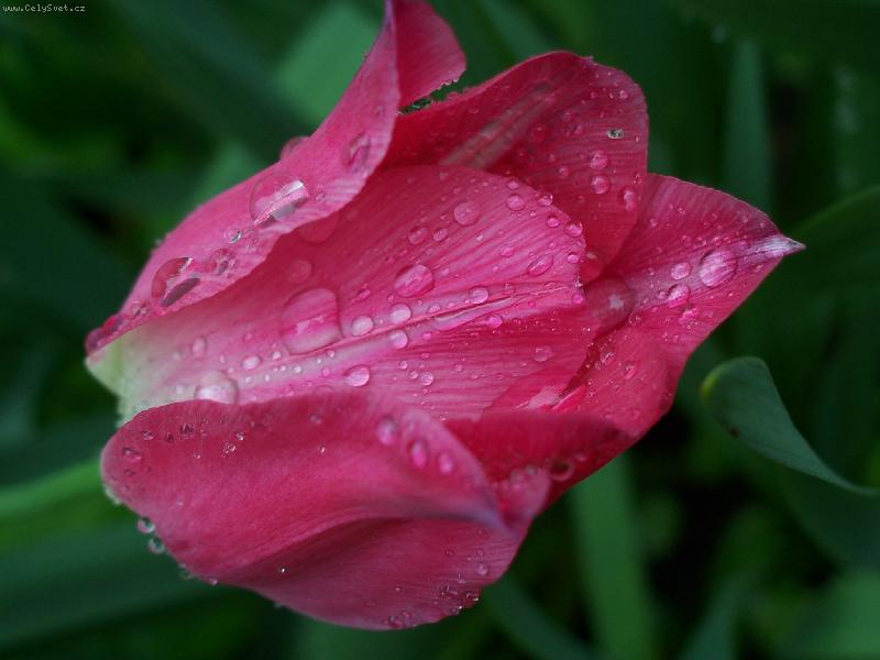 Foto: Po de�ti-:-)