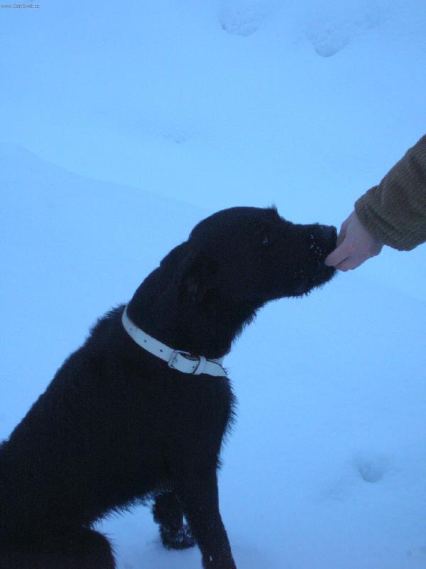 Foto: Odm�na za poslu�nost