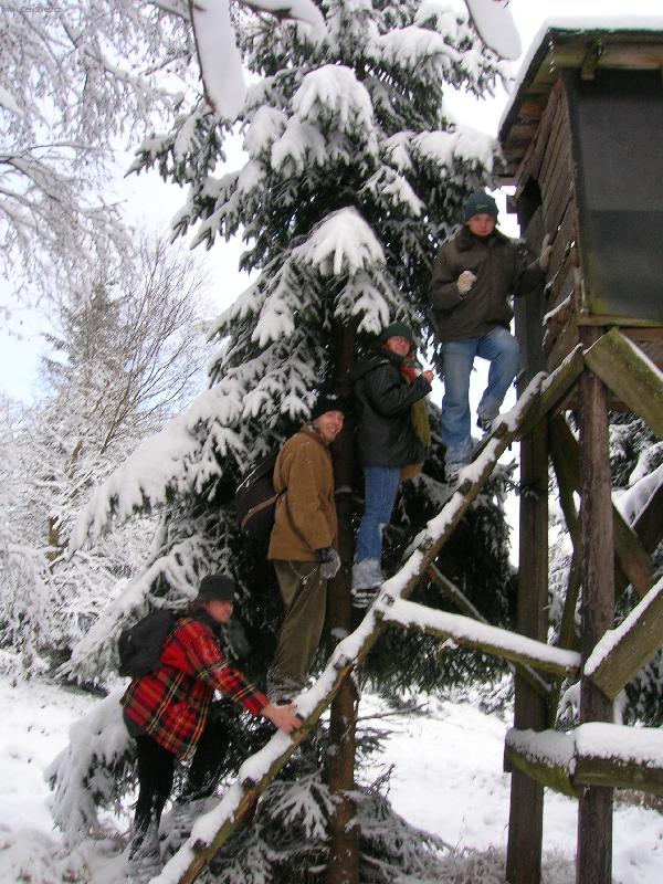 Foto: Posed v hor�ch