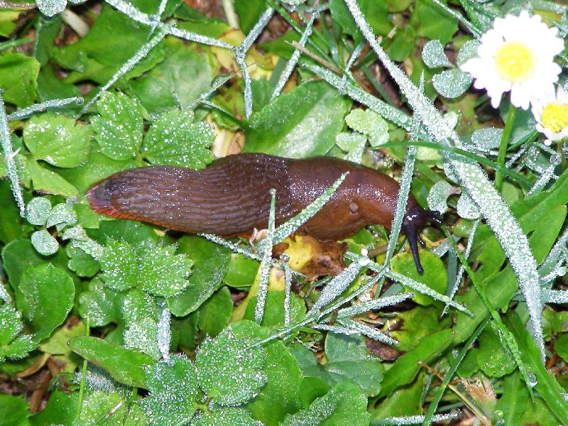 Foto: Na rann� proch�zce