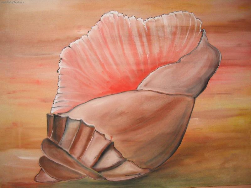 Foto: mu�le-amat�rsk� tvorba