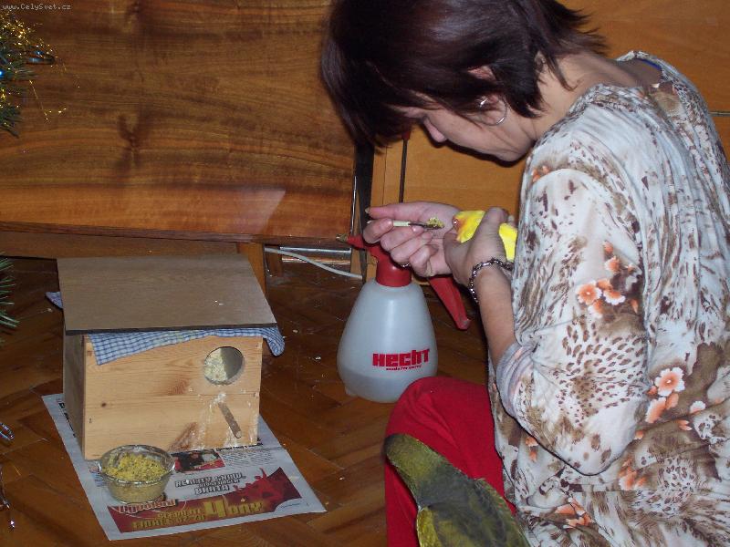 Foto: Agapornis a patagonec-....krmen� "drav� zv��e""....