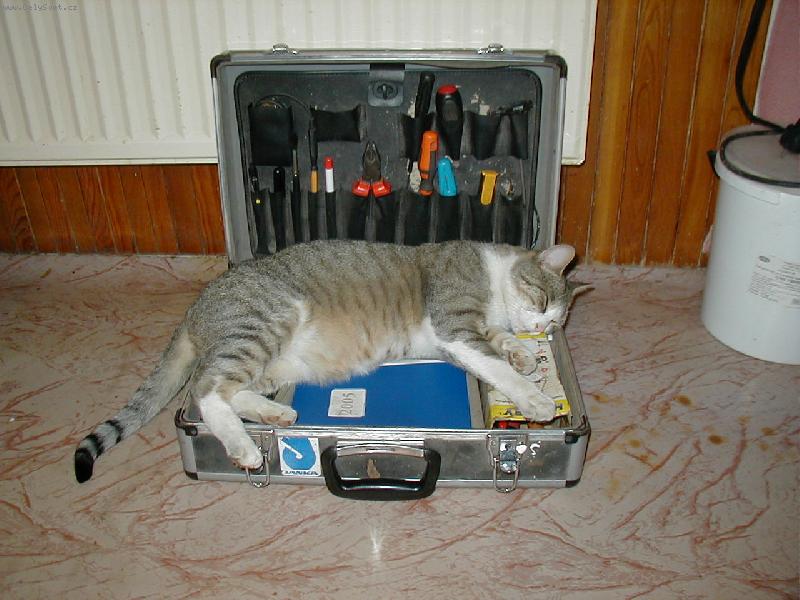 Foto: Zaslou�en� odpo�inek-Kde padne tam usne