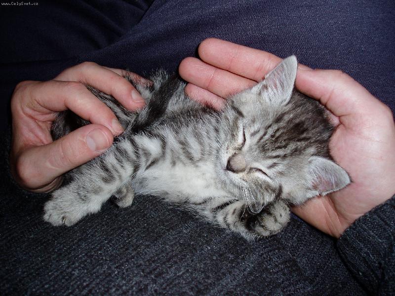 Foto: Mike�ka (v t� dob� je�t� Mike�)