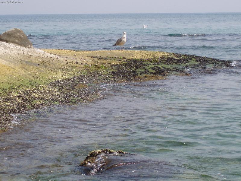 Foto: �ek�n� na dru�ku