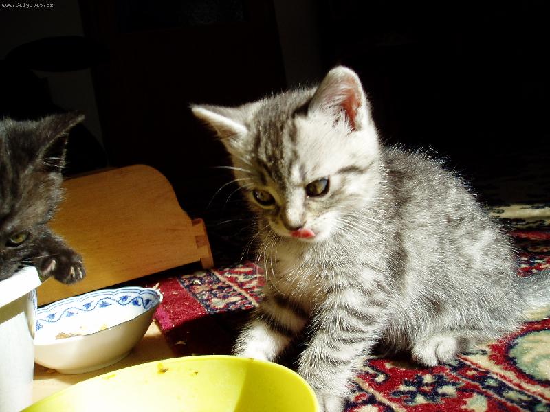 Foto: Mike�ka-M�am