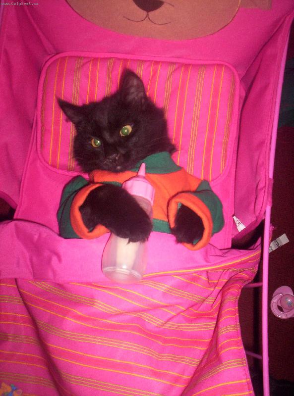 Foto: Mik�sek haj�