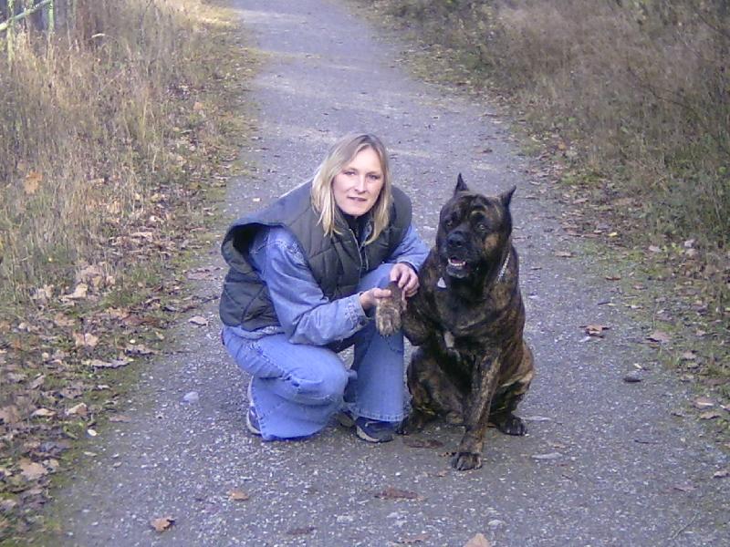 Foto: U�EHTAN� BANDOG-L�taj� tu n�kde holuby p��mo do tlamy ?