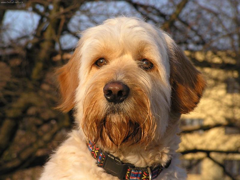 Foto: Mat�j-. . . a t�� z anfasu.