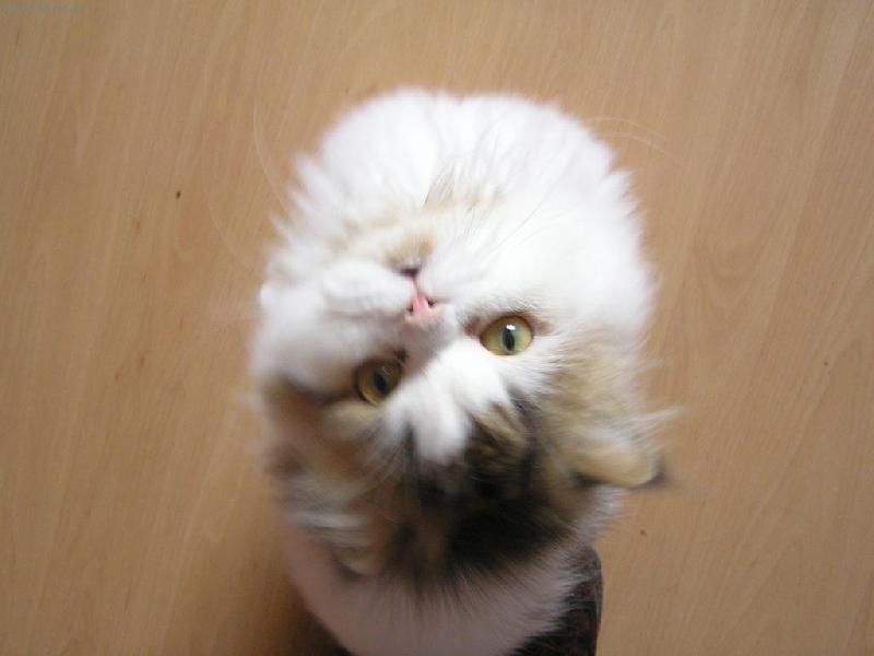 Foto: Cel� sv�t se to�� jen kolem m�!-Tom�ek zvrchu