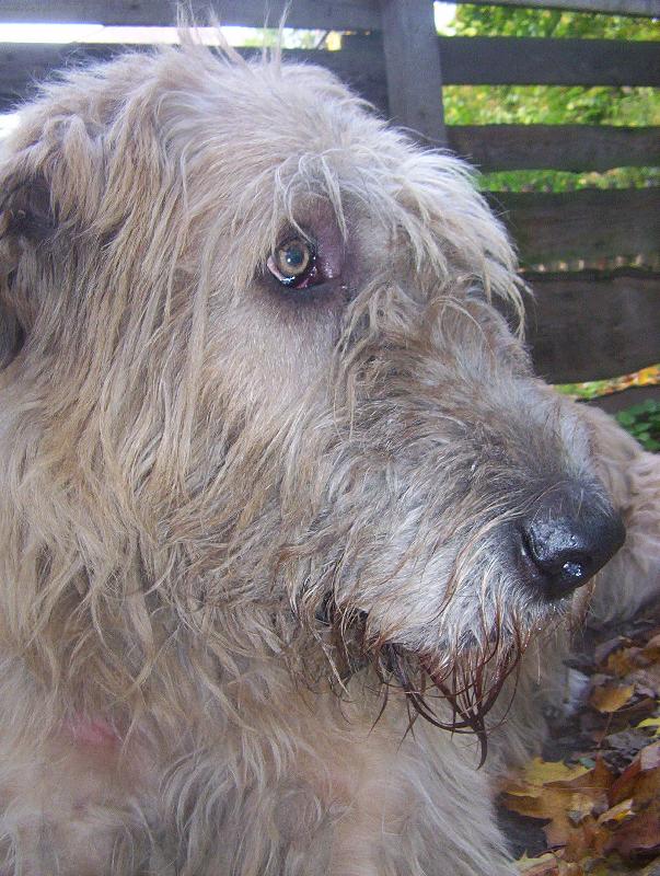 Foto: Zamy�len�-...